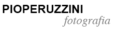 pioperuzzini.it logo