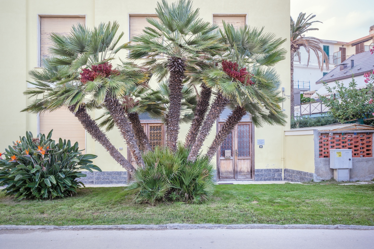Arma di Taggia, 2014.