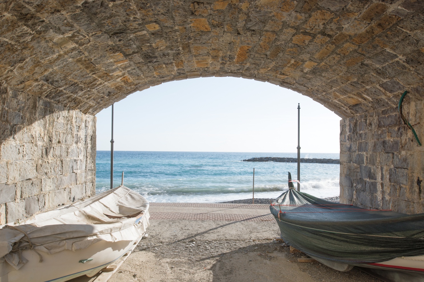 Cervo, 2015.