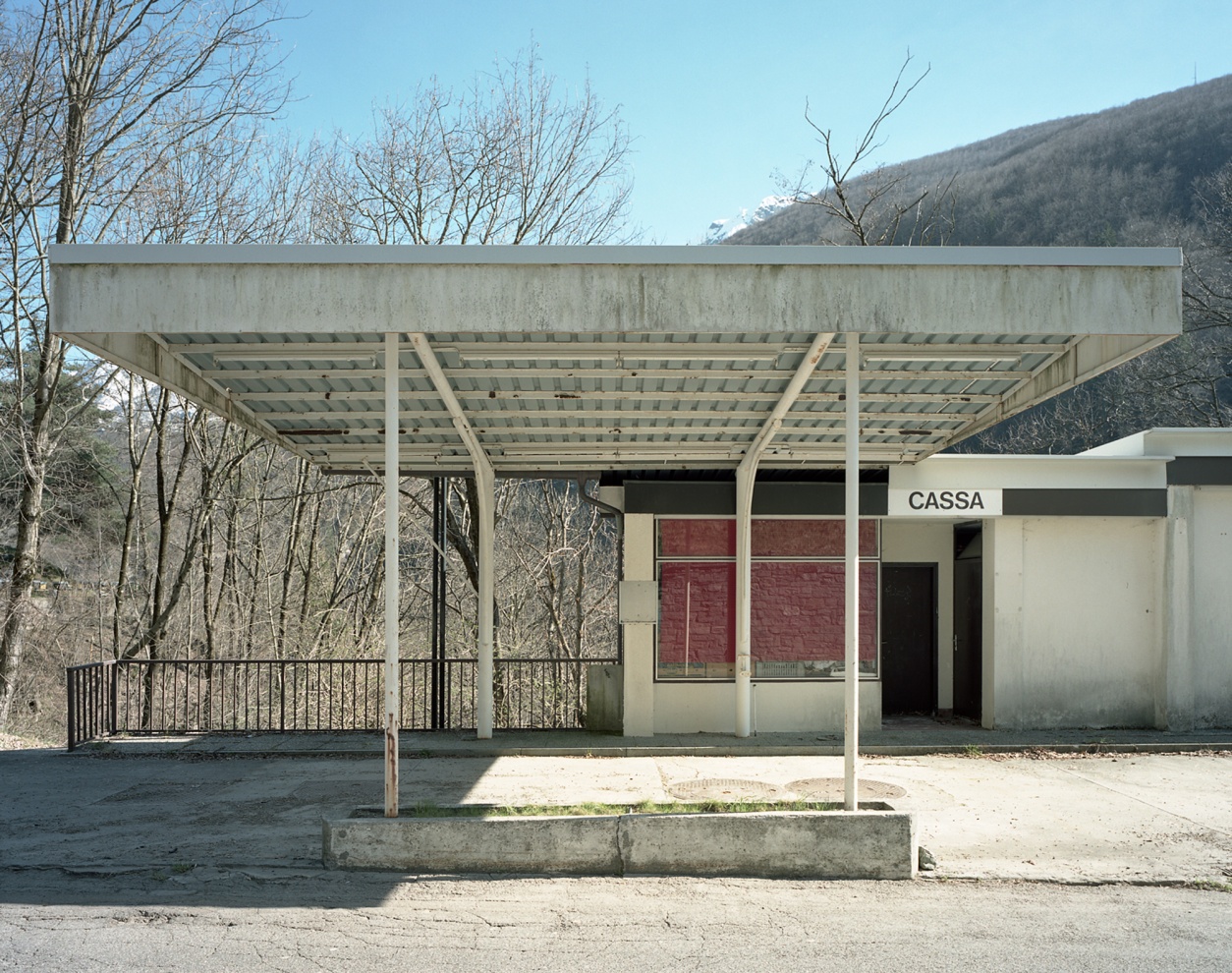 14 - Camedo