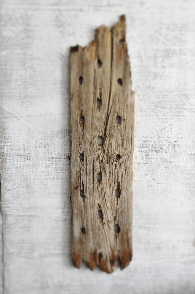 Legno Mare ( Sea Wood) - 2011
tiratura variabile 1/7
stampa su Photo Rag BW 100% cotone