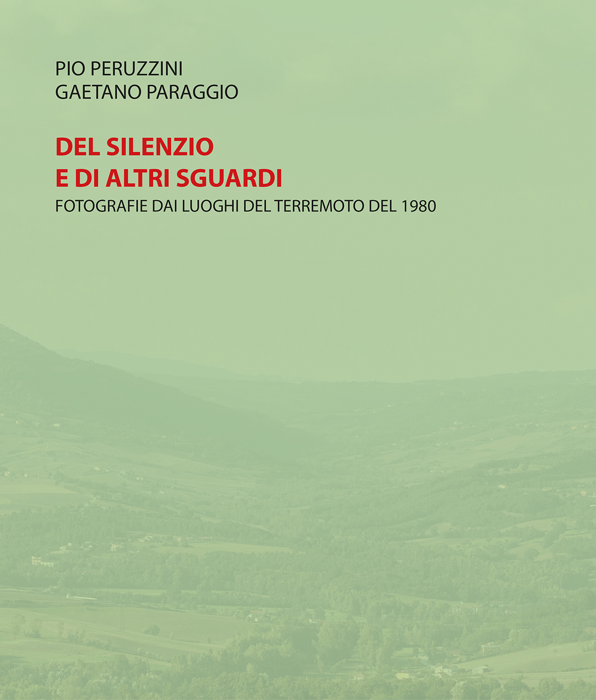 DEL SILENZIO E DI ALTRI SGUARDI  libro  quarant'anni dopo il sisma dell'Irpinia e della provincia di Salerno 