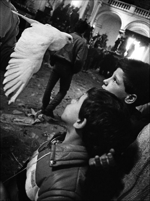 I Misteri. La colombina. Trapani 1989  © Letizia Battaglia